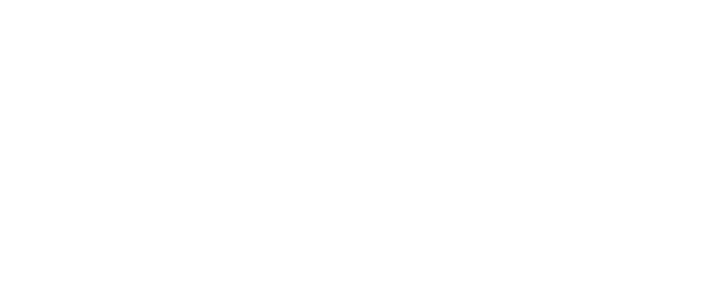 IMEX shipping and logistics INDIA white